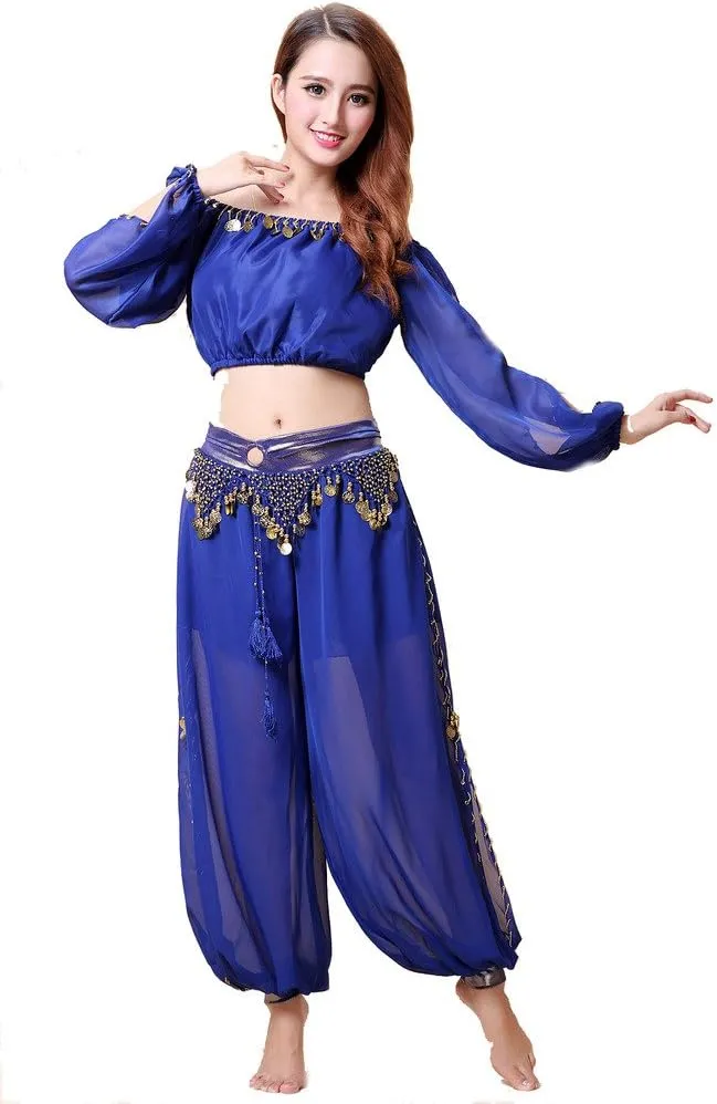 Belly Dance Chiffon Long Sleeves Top and Lantern Coins Pants Black, One Size