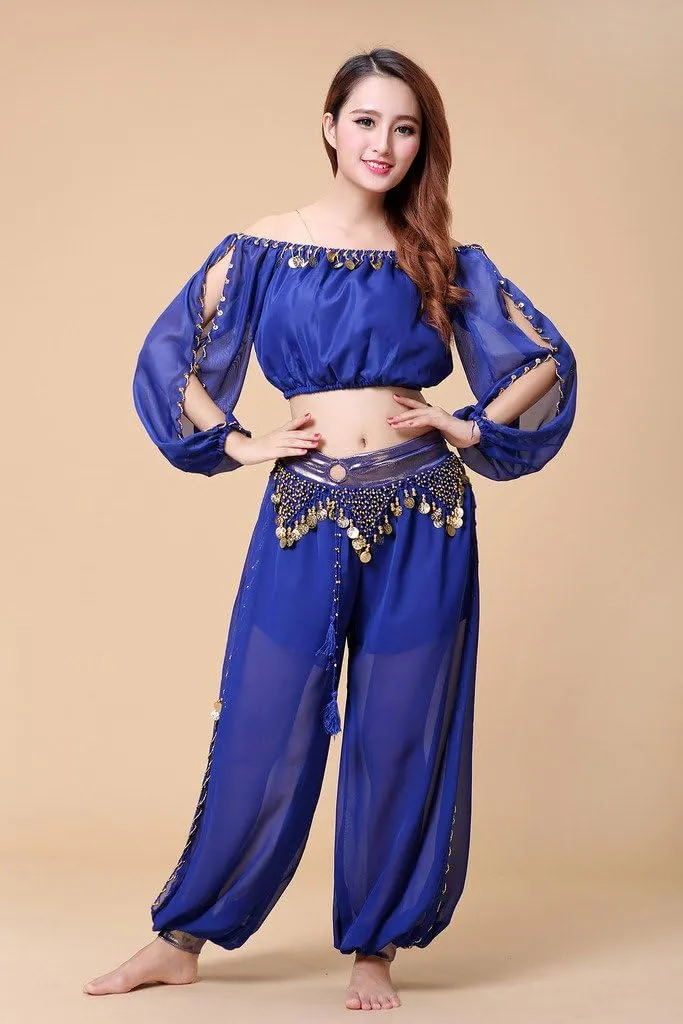 Belly Dance Chiffon Long Sleeves Top and Lantern Coins Pants Black, One Size