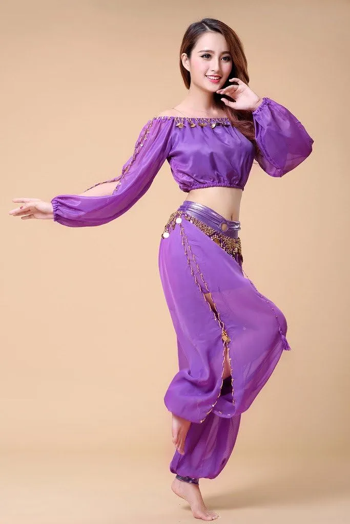 Belly Dance Chiffon Long Sleeves Top and Lantern Coins Pants Black, One Size