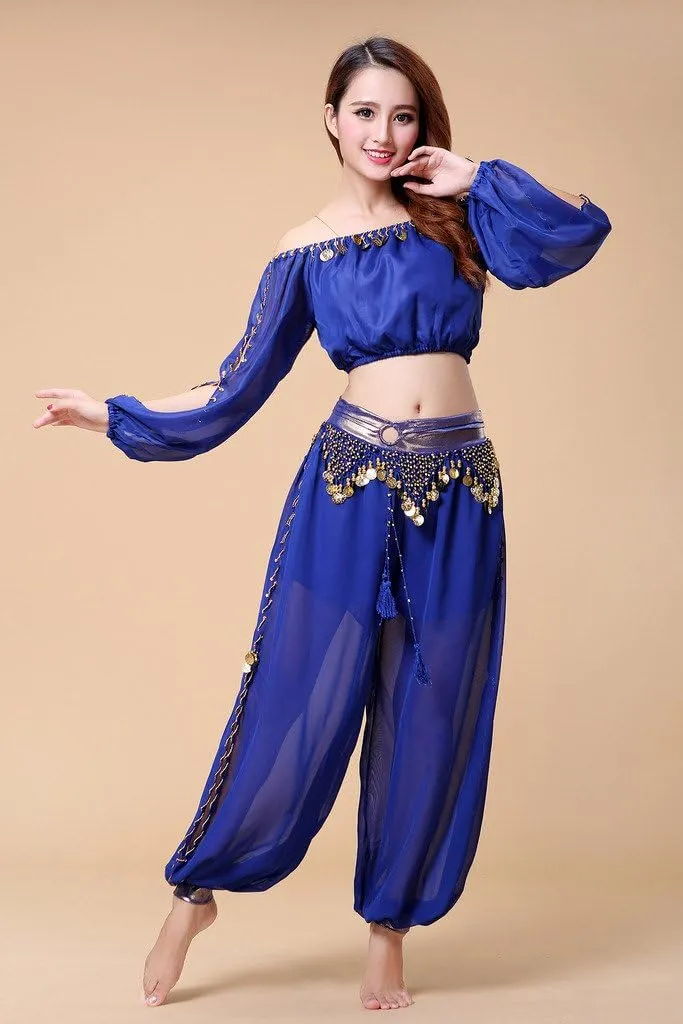 Belly Dance Chiffon Long Sleeves Top and Lantern Coins Pants Black, One Size
