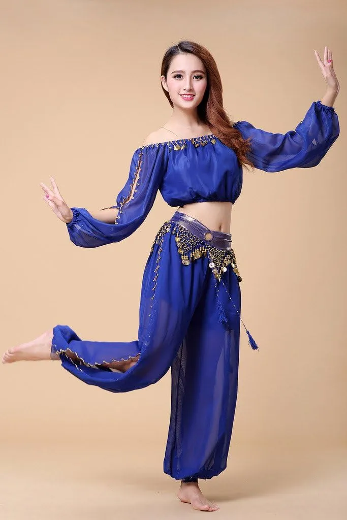 Belly Dance Chiffon Long Sleeves Top and Lantern Coins Pants Black, One Size
