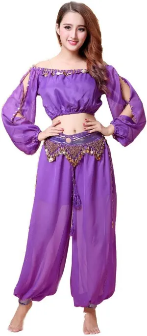Belly Dance Chiffon Long Sleeves Top and Lantern Coins Pants Black, One Size