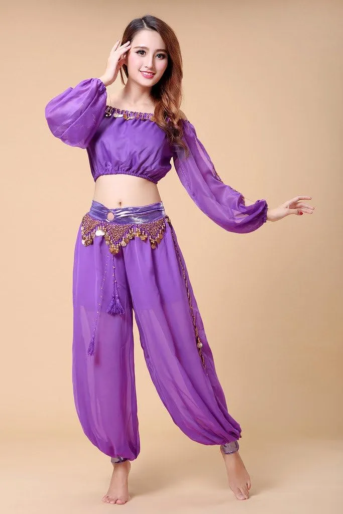 Belly Dance Chiffon Long Sleeves Top and Lantern Coins Pants Black, One Size