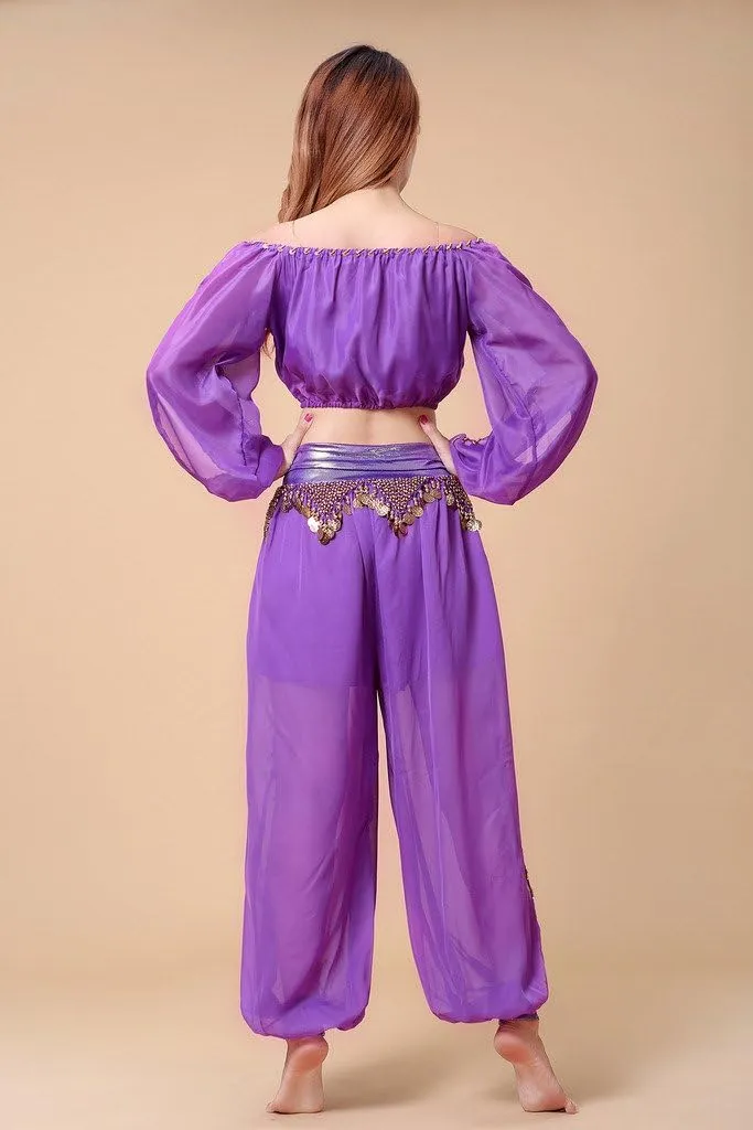 Belly Dance Chiffon Long Sleeves Top and Lantern Coins Pants Black, One Size