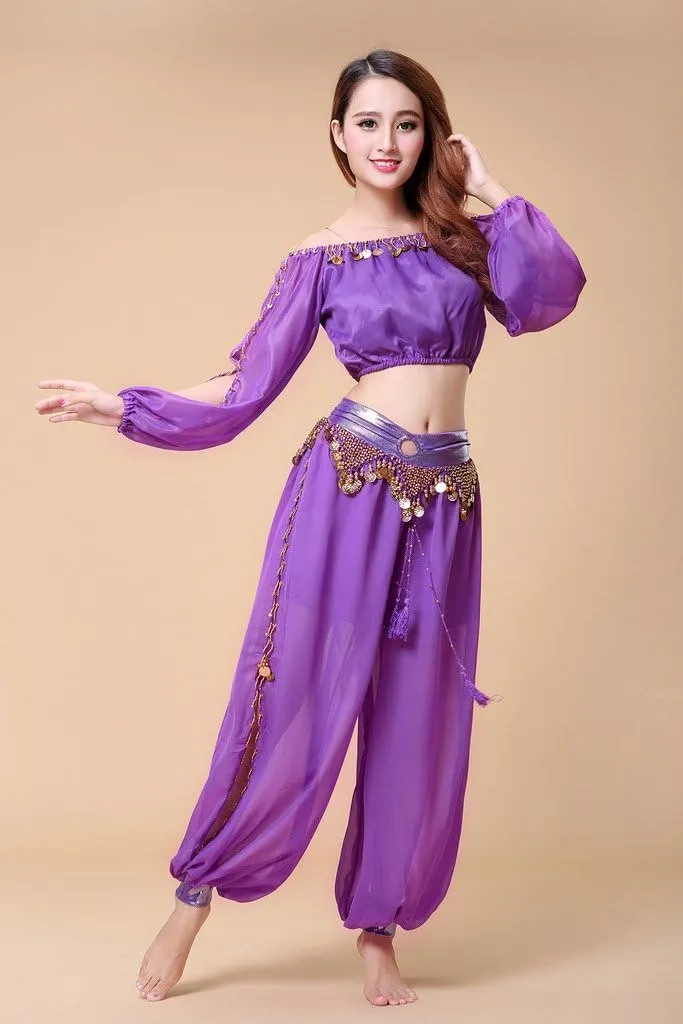 Belly Dance Chiffon Long Sleeves Top and Lantern Coins Pants Black, One Size