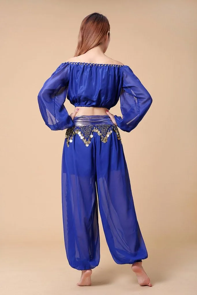 Belly Dance Chiffon Long Sleeves Top and Lantern Coins Pants Black, One Size